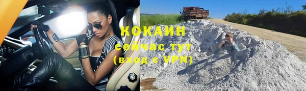 кокс Алзамай